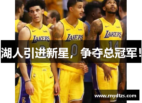 湖人引进新星，争夺总冠军！